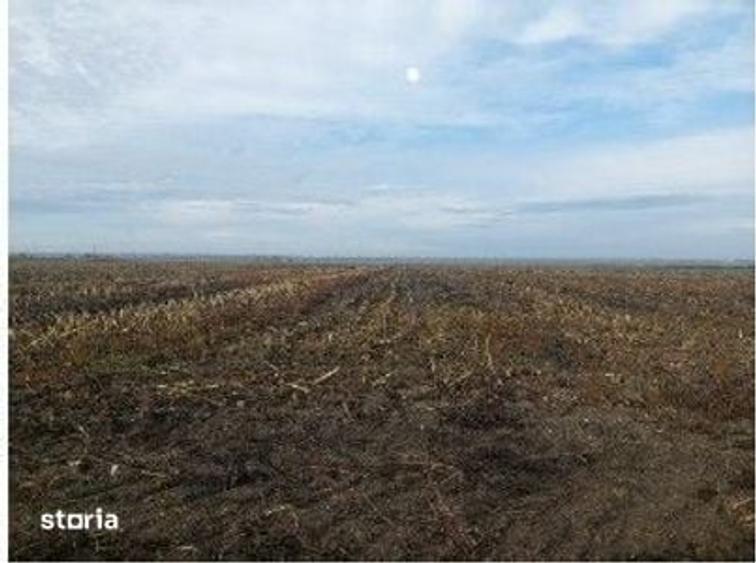 Teren de 5000 mp, în Lunca