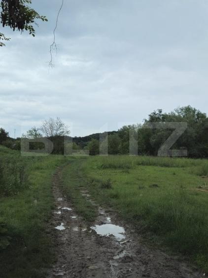 Teren Construcții intravilan de 3355 mp, în Gorgota