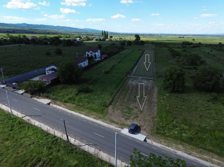 Spațiu comercial, în Cotești