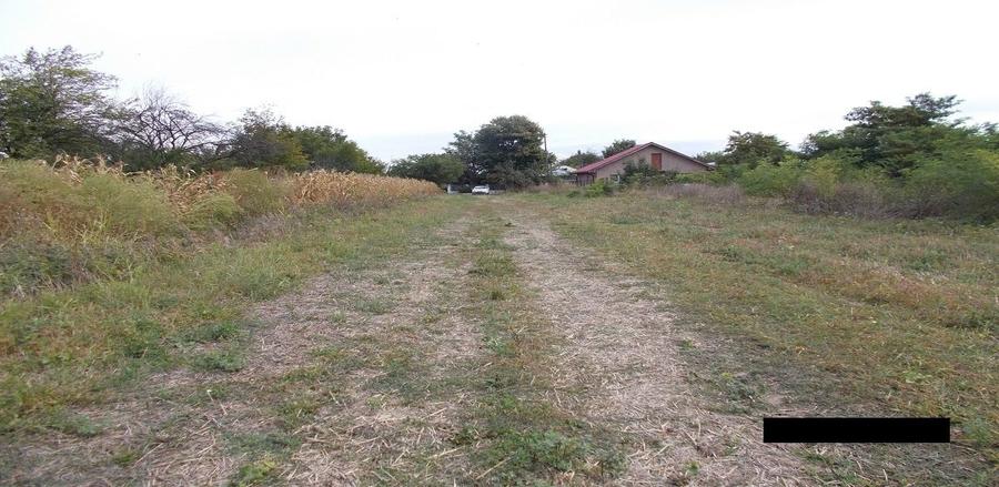 Teren agricol intravilan de 2912 mp, în Crevedia