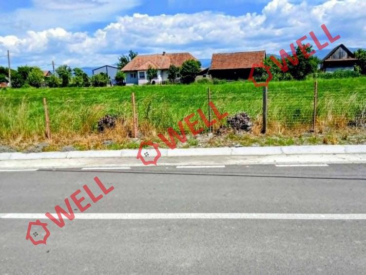 Teren intravilan de vânzare în Brateș! - 6
