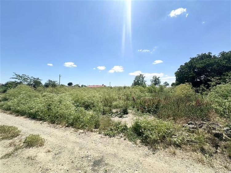 Teren Construcții intravilan de 1700 mp, în Amzacea