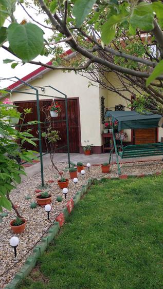 Casă cu Teren 527 Mp în Mânăstirea