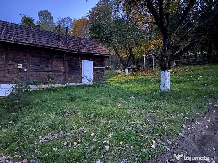 Casă cu 2 camere în Central