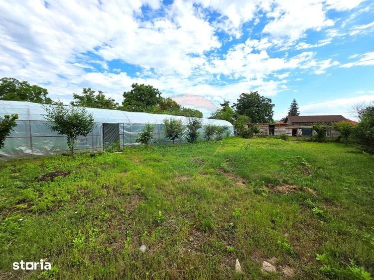 Casă cu 7 camere cu Teren 3200 Mp în Merei