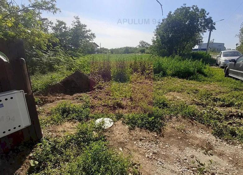 Teren de 5000 mp, în Copăceni