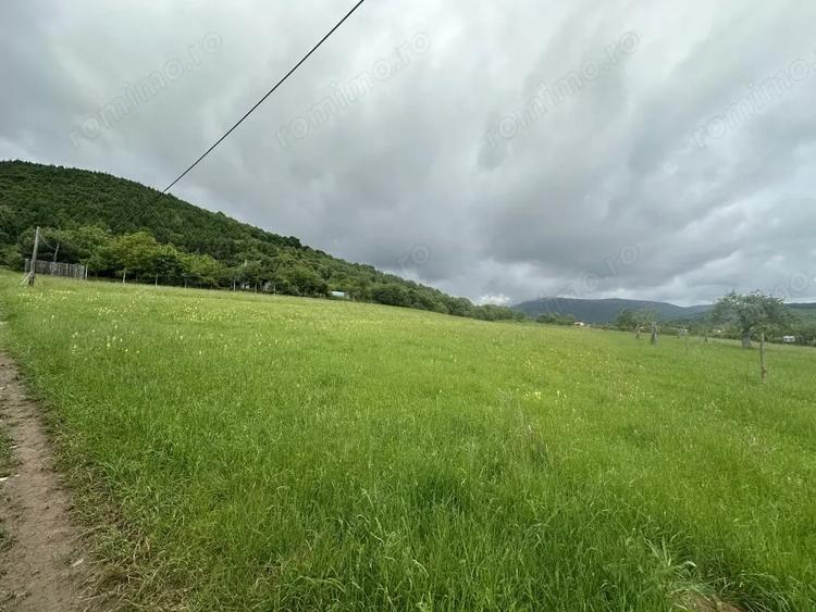 Teren de 2000 mp, în Fântânele