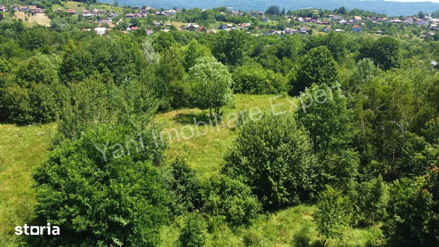 Teren de 20698 mp, în Băiculești