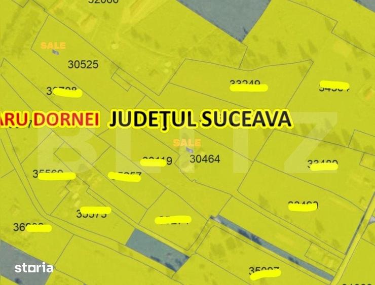 Teren de 16688 mp, în Șaru Dornei