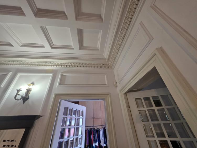 Casă cu 10 camere cu Teren 250 Mp în Cișmigiu