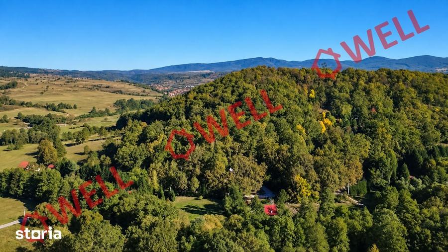 Teren de 16800 mp, în Bățani