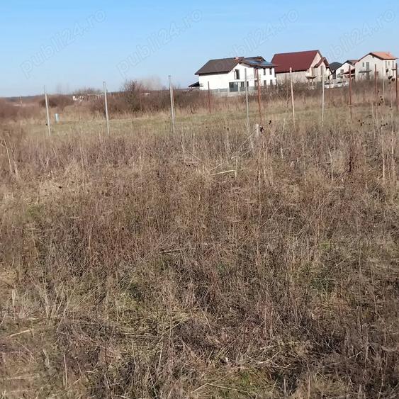 Teren de 1000 mp, în Moșnița Nouă