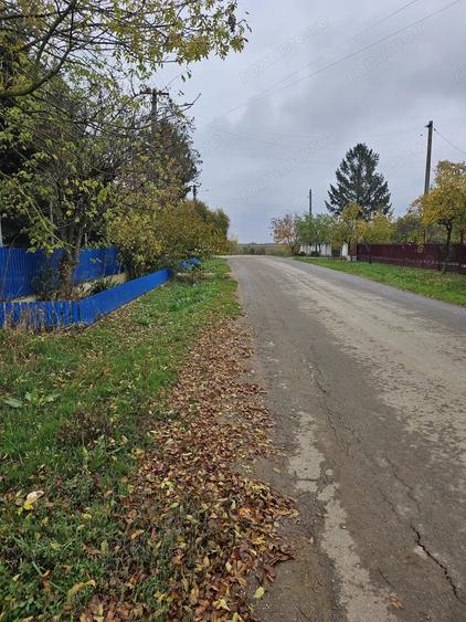 Teren de 18469 mp, în Butimanu