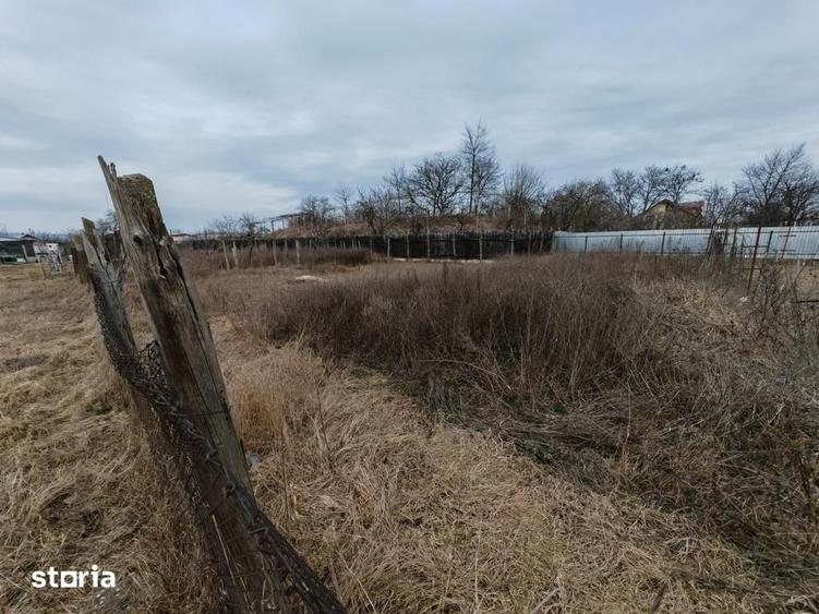 Teren de 1660 mp, în Letea Veche