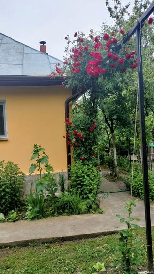Casă cu 3 camere în Drăgășani