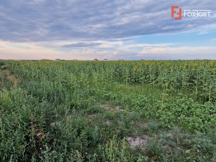 Teren Construcții intravilan de 2100 mp, în Remetea Mare