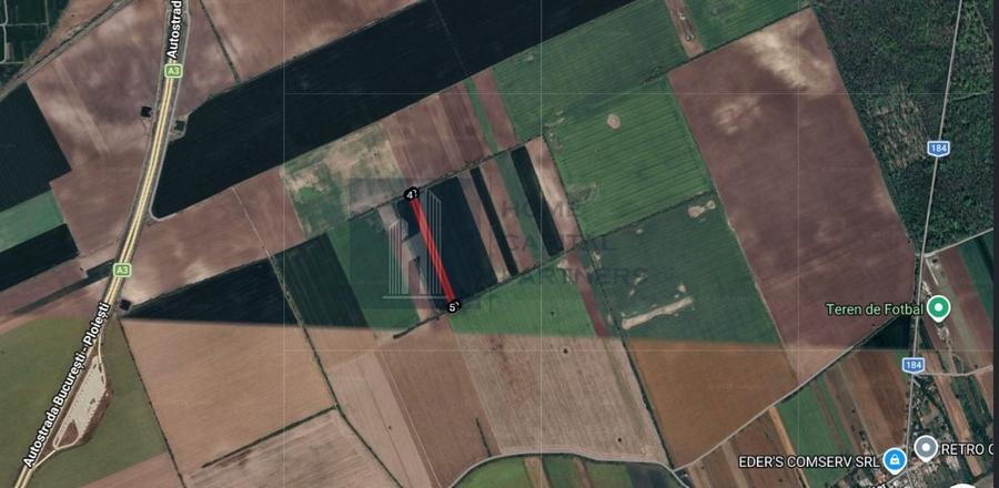 Teren agricol extravilan de 5500 mp, în Moara Vlăsiei