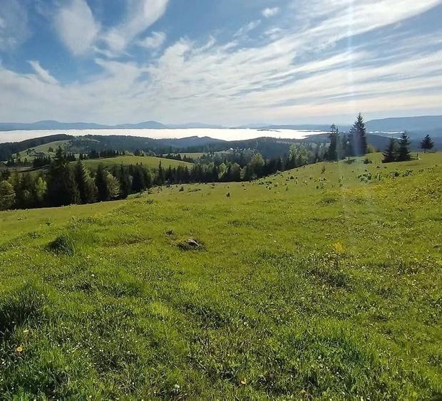 Teren de 12000 mp, în Central