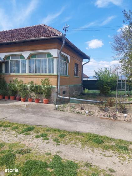 Casa 5 camere, 3500 mp teren - 1