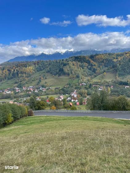 Teren extravilan cu priveliste catre Bucegi Moieciu de Jos 4.700 mp - 15