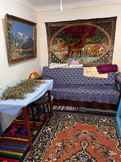 Casă cu 3 camere în Oglinzi