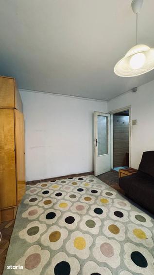 MT246 Apartament 2 camere, Sagului, parter-necesita renovare - 10