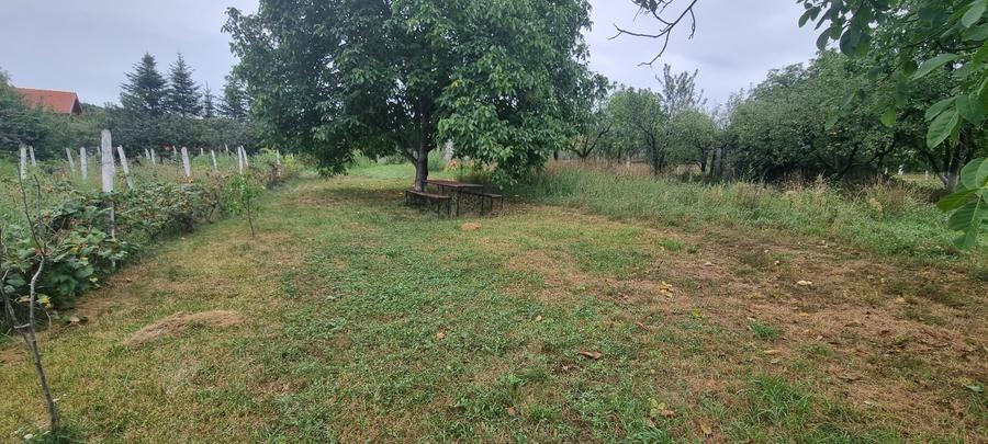 Teren Construcții intravilan de 900 mp, în Central