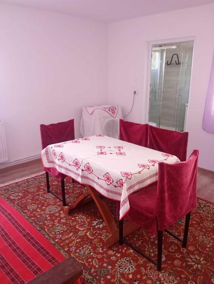 Casă cu 2 camere în Siretu