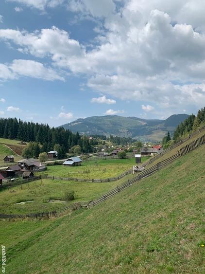 Teren de 7837 mp, în Dorna-Arini