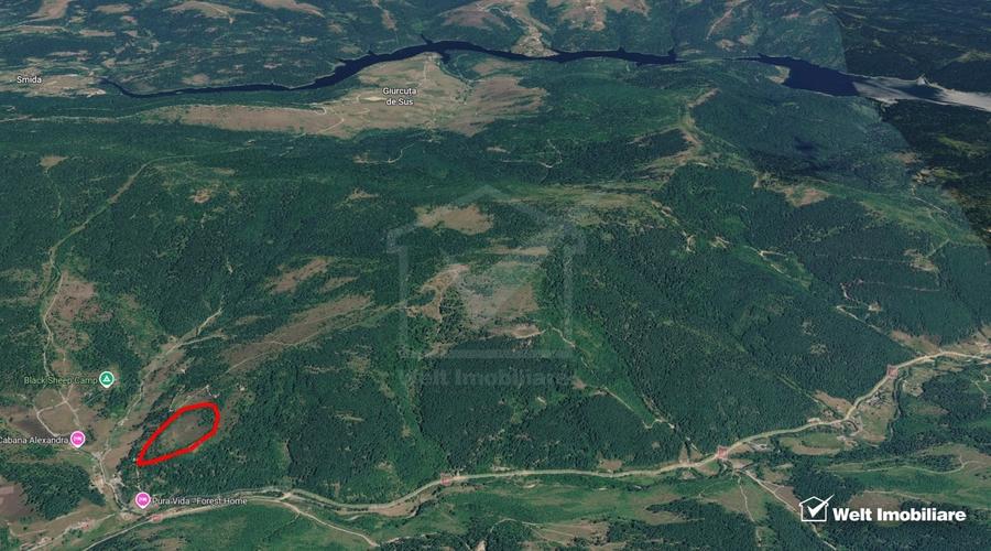 Teren intravilan de 56829 mp, în Beliș