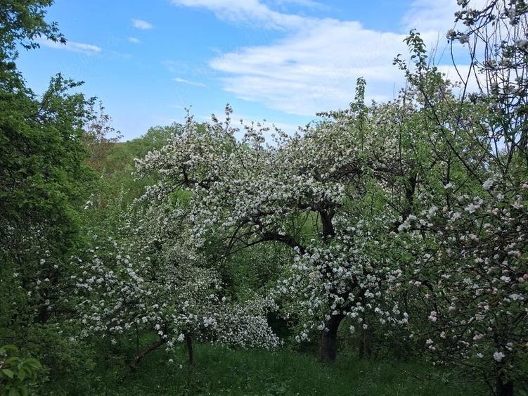 Casă cu 3 camere cu Teren 900 Mp în Poiana Sibiului