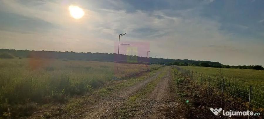 Teren în Săbăreni