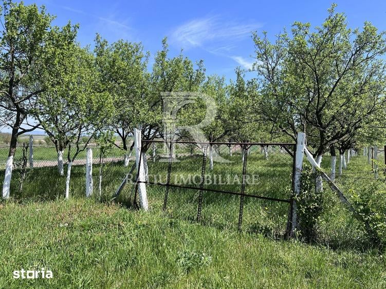 Casă cu 1 camere cu Teren 3000 Mp în Copăcel
