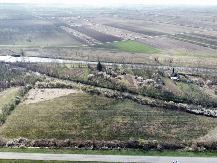 Teren agricol intravilan de 22500 mp, în Balinț