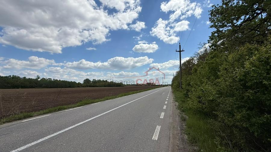 Teren agricol extravilan de 5000 mp, în Căscioarele (Găiseni)