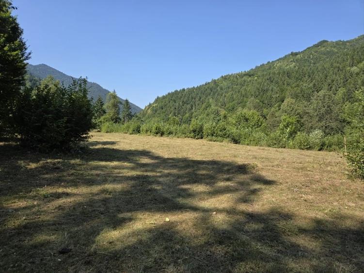 Teren intravilan de 4833 mp, în Tarcău