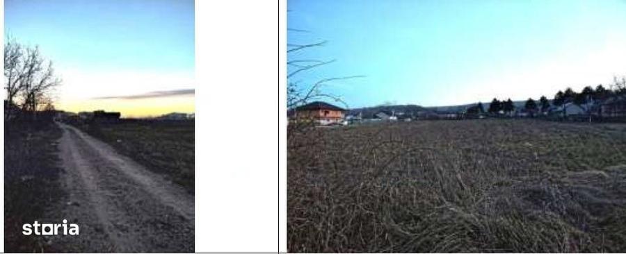 Teren de 1000 mp, în Tomești