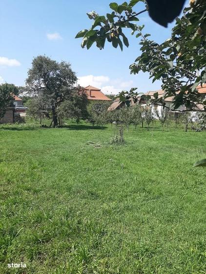 Casa 3 camere in Luna- judetul Cluj - 1