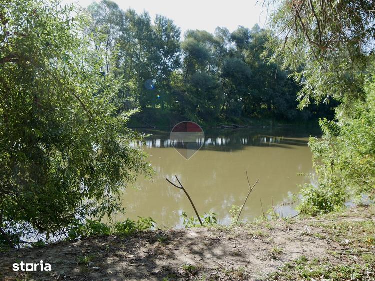 Casă cu 2 camere cu Teren 3003 Mp în Vințu de Jos
