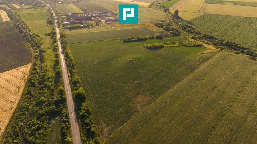 Teren agricol extravilan de 42200 mp, în Secusigiu