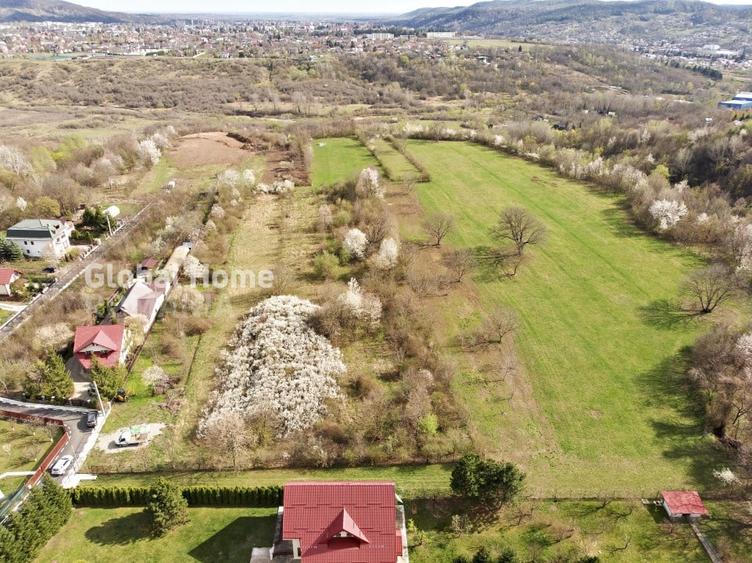 Teren Construcții intravilan de 23345 mp, în Cornu de Jos (Cornu)