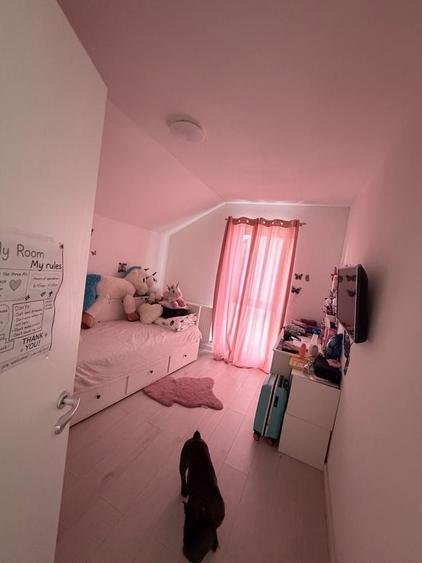 Casă cu 3 camere în Sânandrei