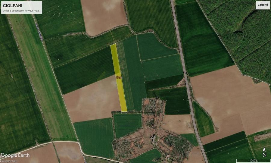 Teren agricol extravilan de 30700 mp, în Ciolpani