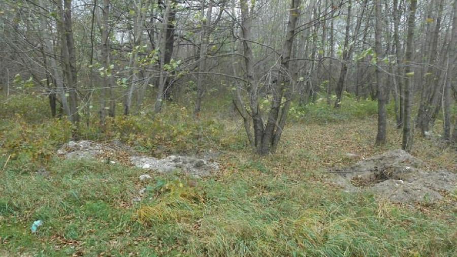 Teren de 2740 mp, în Bran