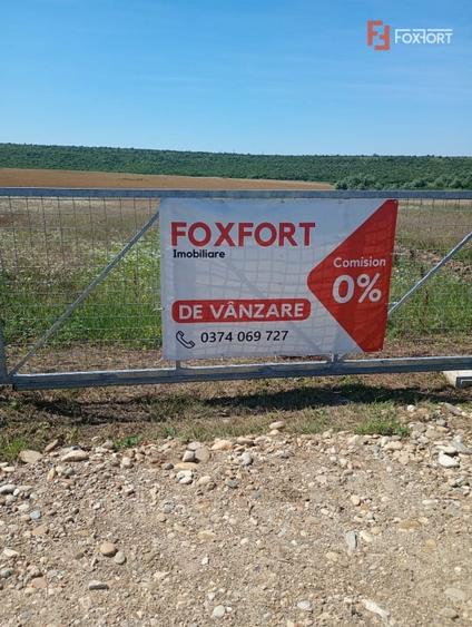 Teren agricol extravilan de 6100 mp, în Pișchia
