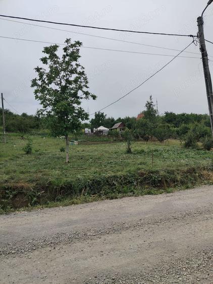 Teren de 14251 mp, în Podgoria