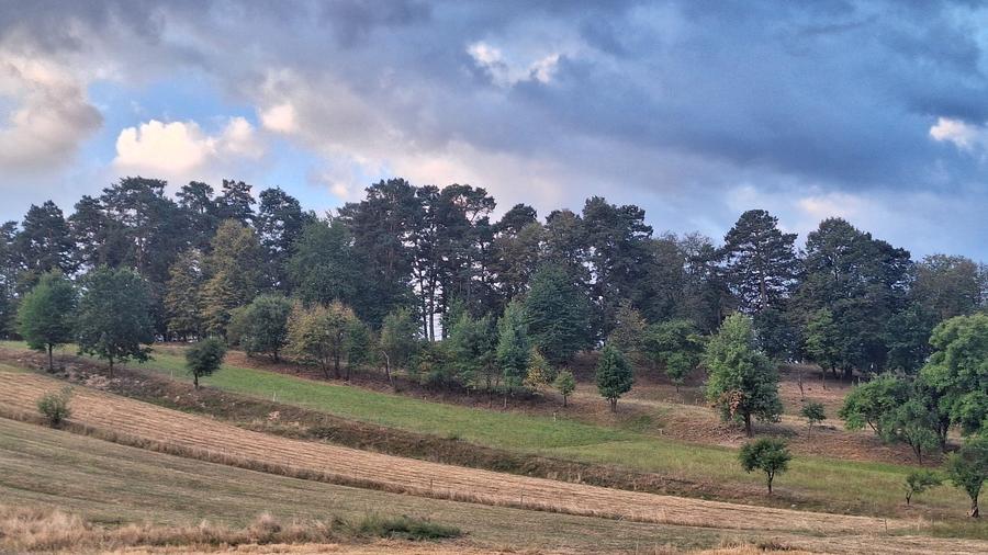 Teren Construcții intravilan de 2200 mp, în Boroșneu Mic