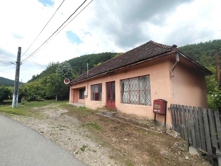 Imobil de vanzare Valea Muresului- judet Arad - 3
