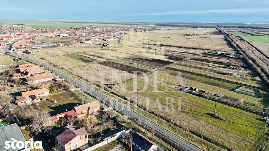 Parcele teren intravilan 1500mp la 15euro/mp in Pischia - 3
