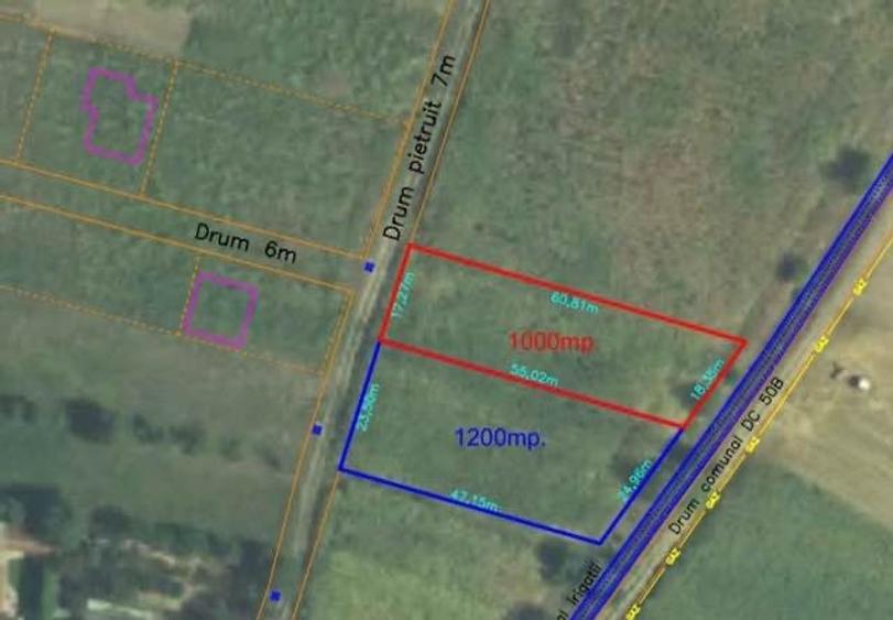 Teren Construcții intravilan de 1000 mp, în Băcia